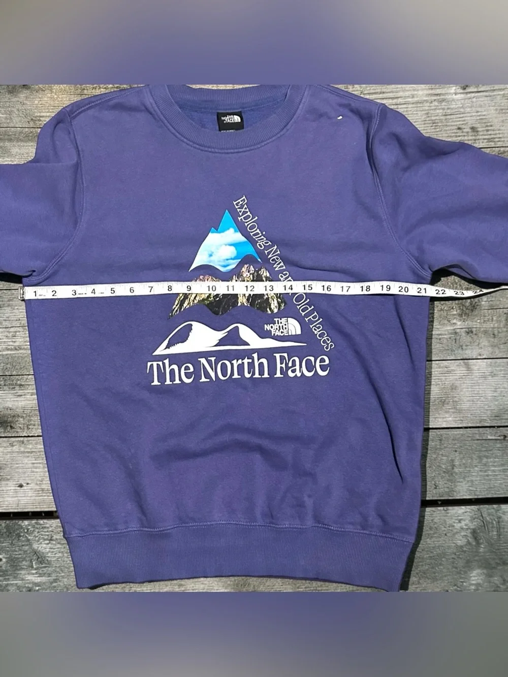 The North Face Places We Love Crewneck Sweatshirt Men’s Small Purple Graphic